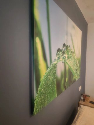 Cuadro Decorativo Hojas con Gotas