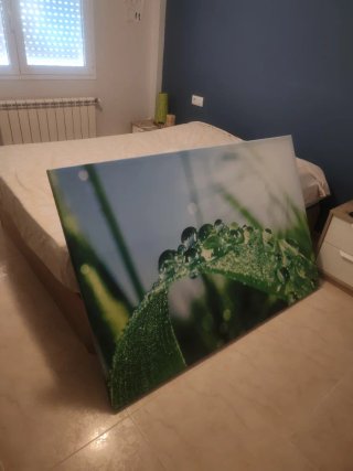 Cuadro Decorativo Hojas con Gotas