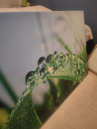 Cuadro Decorativo Hojas con Gotas
