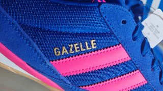 Adidas Gazelle Sala Blu/Rosa