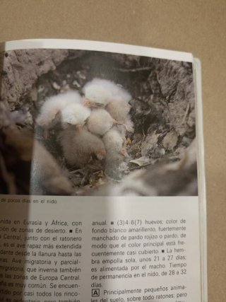 Guía de Aves Einhard Bezzel