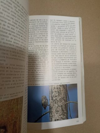 Guía de Aves Einhard Bezzel