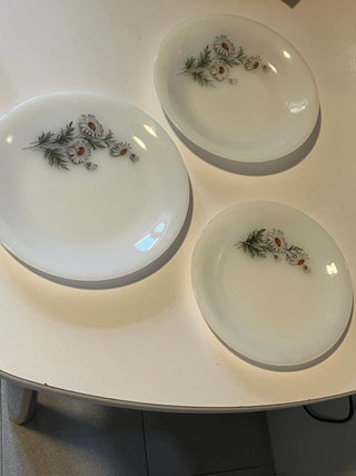 Platos Arcopal Margaritas