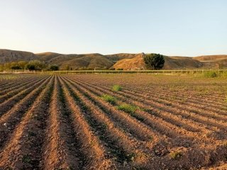 Terreno rústico en Chinchón