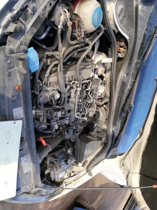 Despiece Volkswagen Polo 2011, 1.2 diesel 75 CV