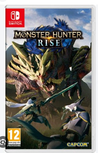Nintendo Switch - Monster Hunter Rise