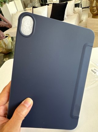 Custodia iPad