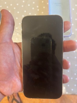 iPhone 14 Pro