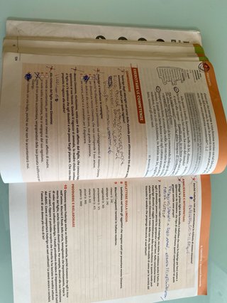 Compagni di viaggio: La letteratura dalle origi...