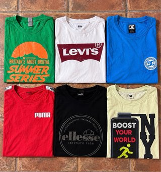 Lote 6 Camisetas Talla M: Levi’s, Puma, DC, Elless
