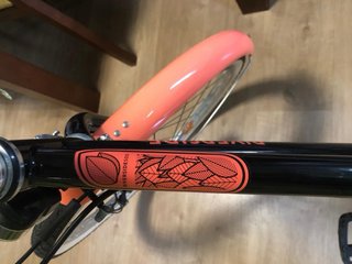 Bicicleta Riverside Negra y Coral