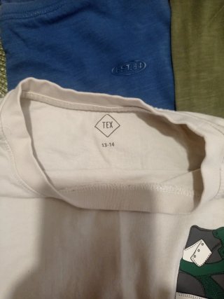 Camiseta manga larga tex