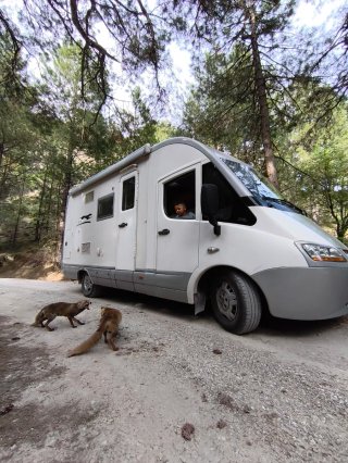 Autocaravana integral Laika Rexosline 620