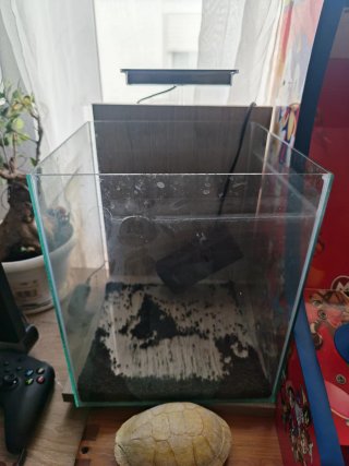 Acuario Betta