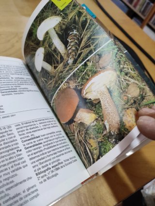Guía de la naturaleza brume setas
