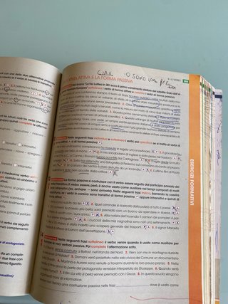 In forma semplice e chiara. Per la Scuola media...