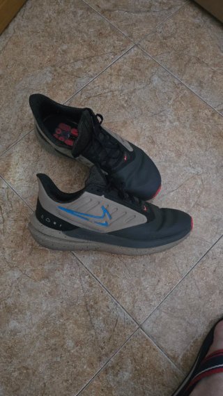 Zapatillas Nike Beige y Negro