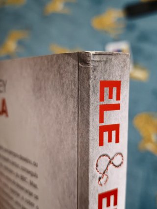 Ele e ela livro