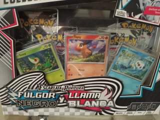Colección poster Pokémon blanco y negro