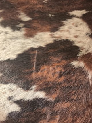 2 alfombras piel vaca