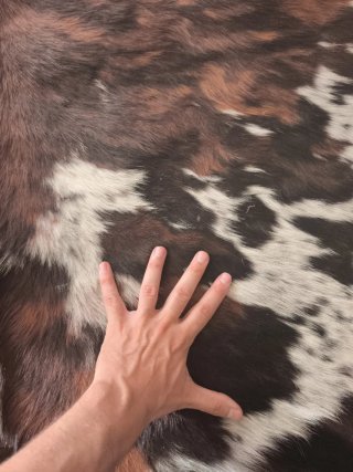 2 alfombras piel vaca
