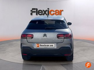Citroën C4 Cactus BlueHDi 74KW (100CV) S&S Shine