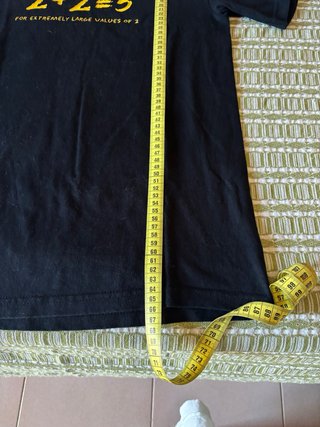 T-shirt uomo Gildan 2+2=5