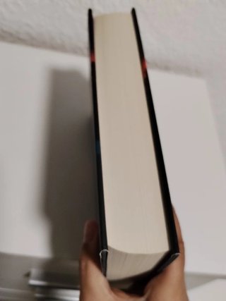 Holly de Stephen King