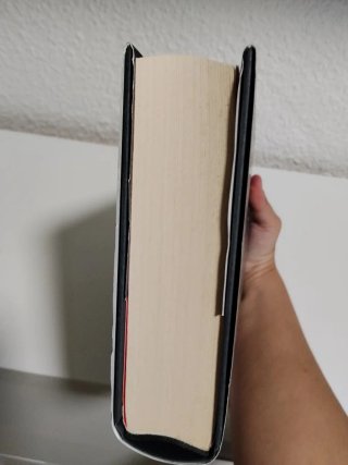 Holly de Stephen King