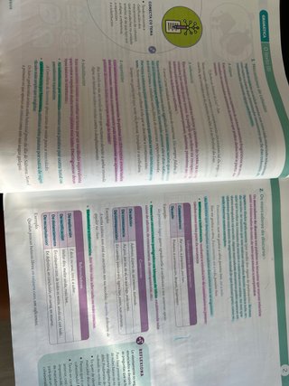 Lingua e Literatura, 4 ESO, Proxecto Construínd...