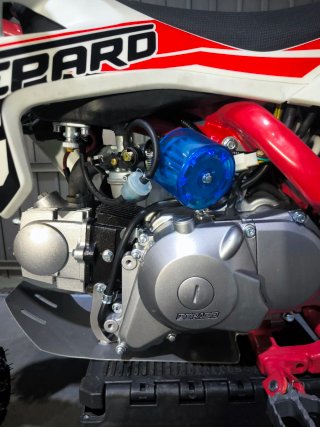 Pit Bike Gepard Dorado 110cc 4T Gas