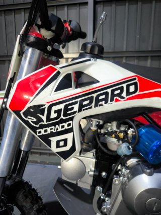 Pit Bike Gepard Dorado 110cc 4T Gas
