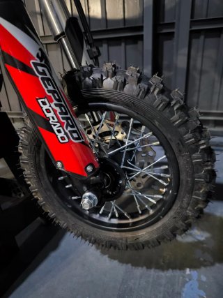 Pit Bike Gepard Dorado 110cc 4T Gas