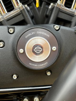 Harley-Davidson Iron 883 2020