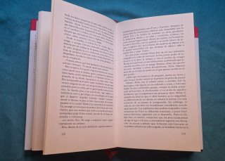 Libro: 377 A, madera de héroe