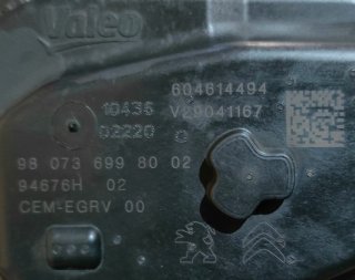 Válvula EGR Citroën Peugeot 1.6 HDI