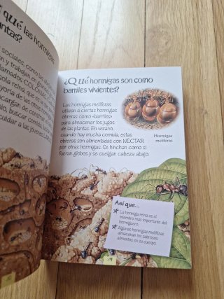 1000 preguntas y respuestas
