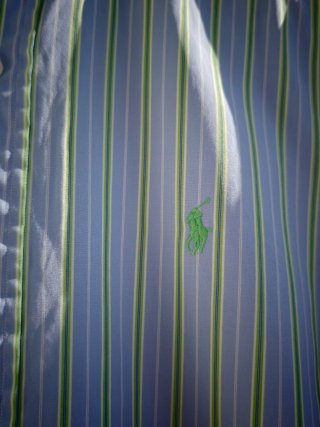 Camisa Polo Ralph Lauren Rayas