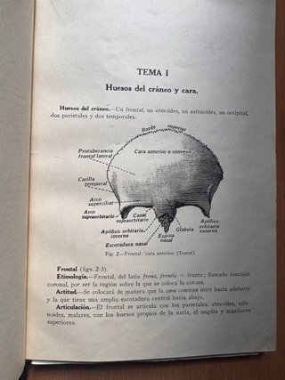 Anatomía Vendajes Guerra Civil 1938 Murga