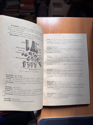 Anatomía Vendajes Guerra Civil 1938 Murga