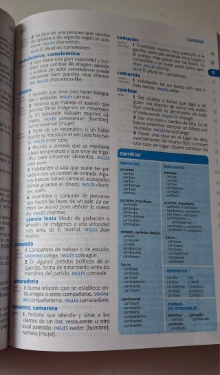 Diccionario Primaria lengua española