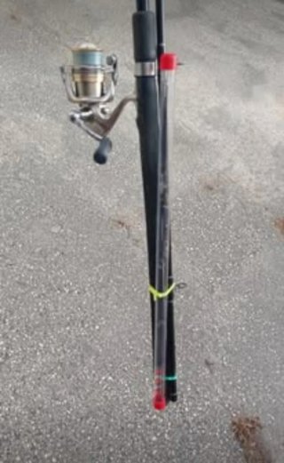 Canna da pesca Feeder Milo (campione del mondo )