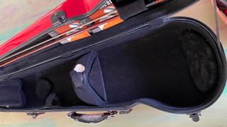 Violín profesional Fawler Pro