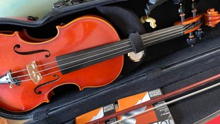 Violín profesional Fawler Pro