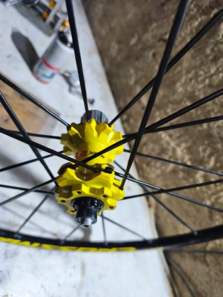 Rueda trasera Mavic Crossmax 29