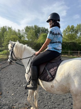 Busco trabajo con caballos o animales