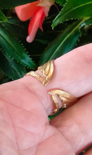 Anillo Lotta Djossou Paris Golondrina Ajustable