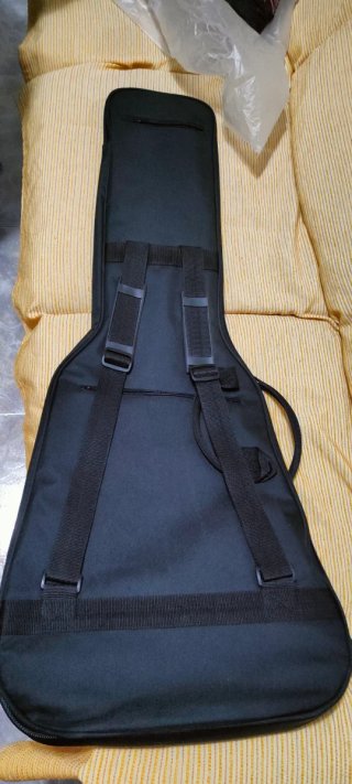 Funda Guitarra Washburn Paul Stanley