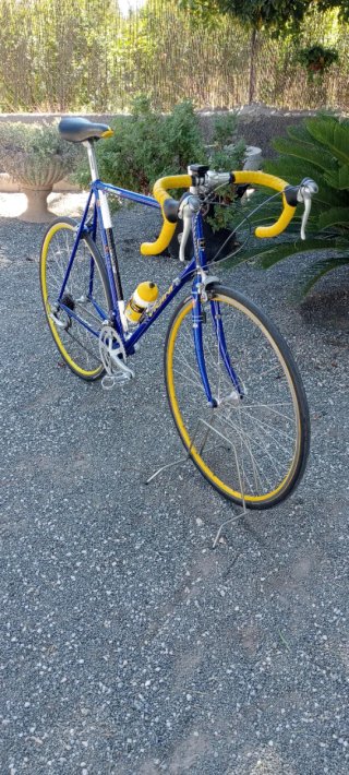 Bicicleta Clásica de Carretera Vicini