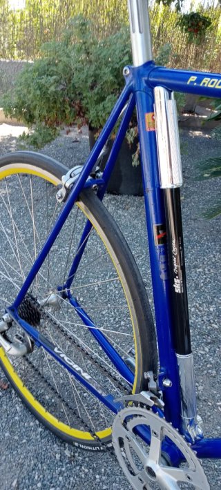 Bicicleta Clásica de Carretera Vicini